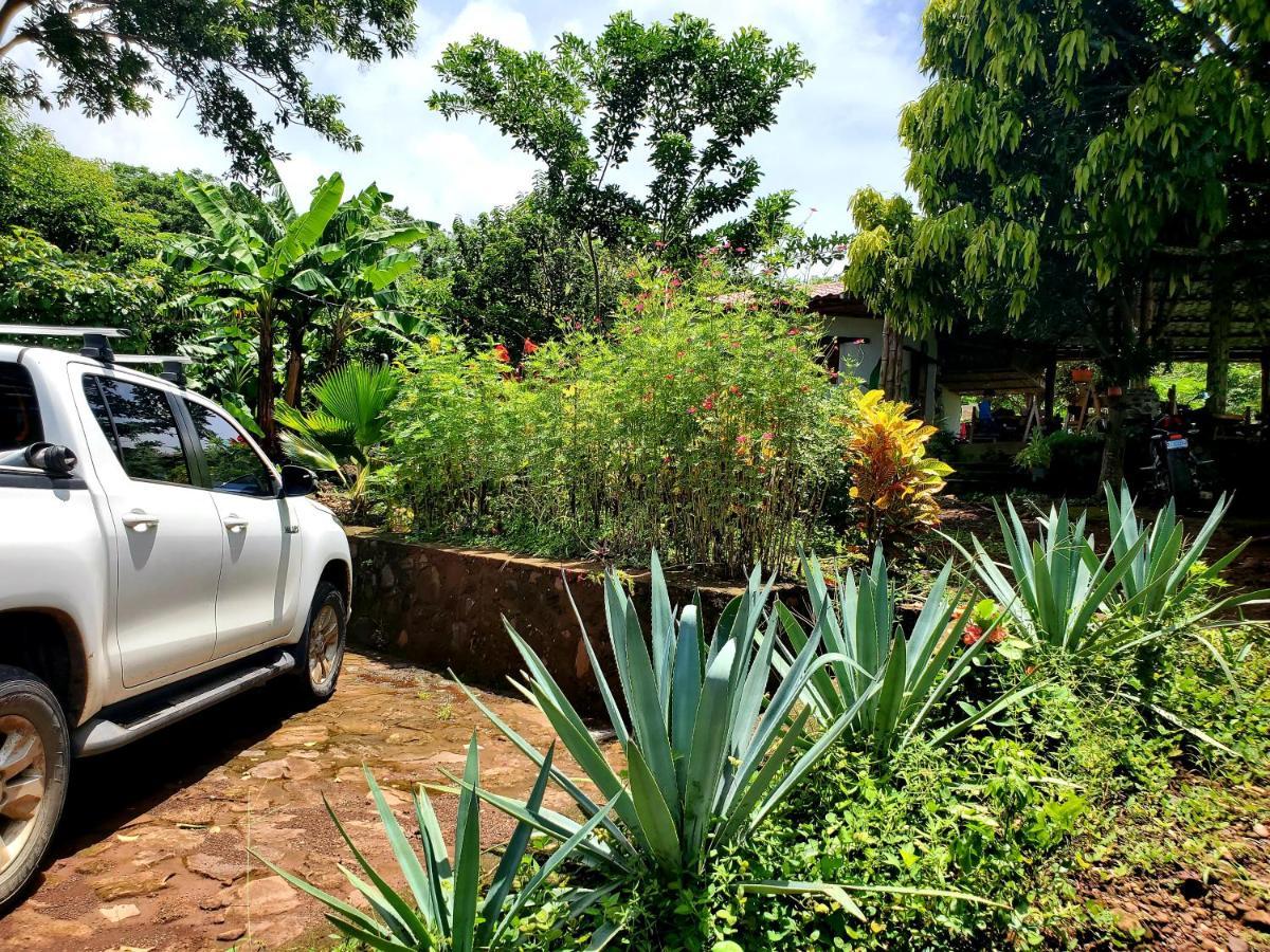 Mérida The Jungleヴィラ エクステリア 写真
