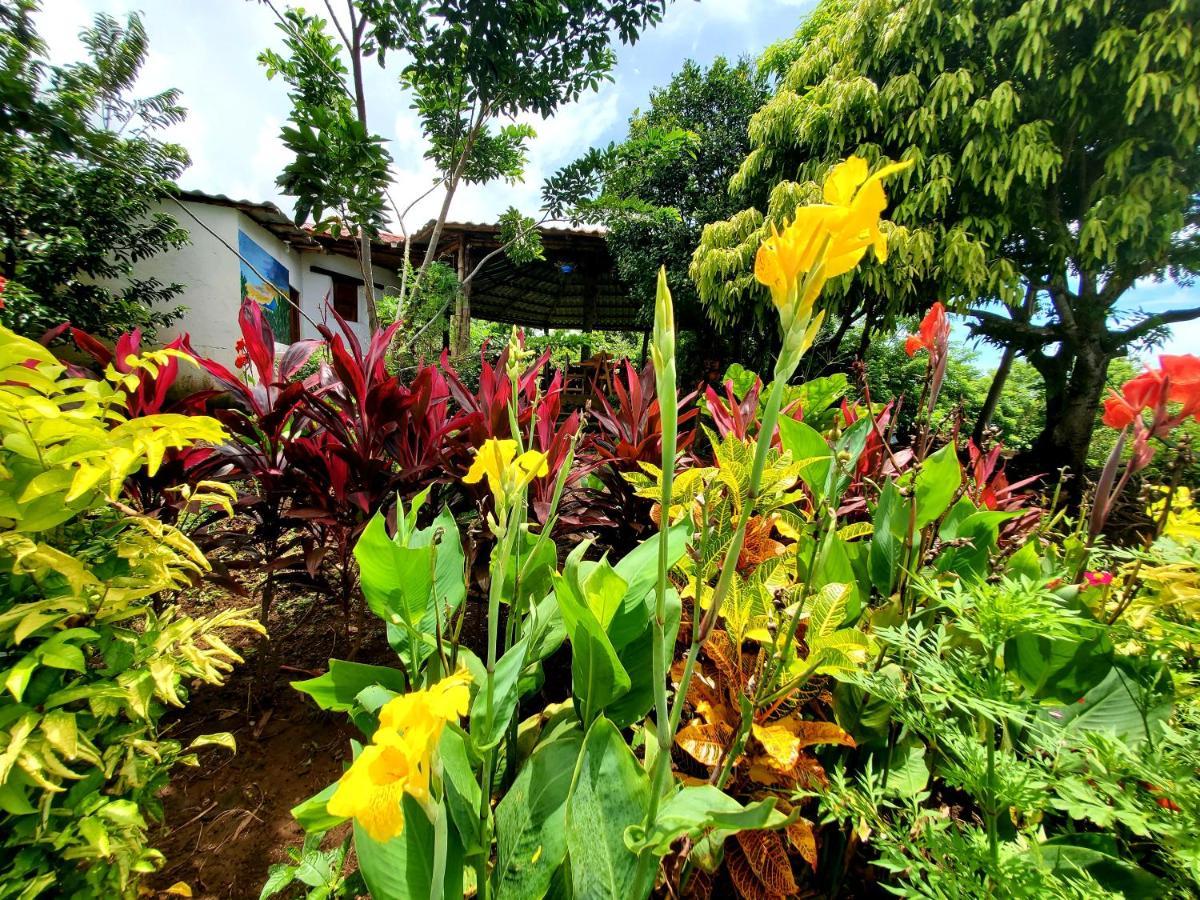 Mérida The Jungleヴィラ エクステリア 写真