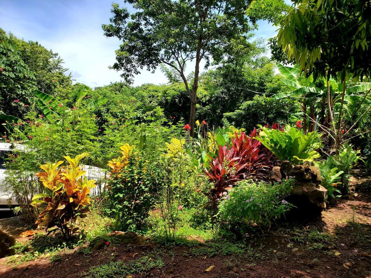 Mérida The Jungleヴィラ エクステリア 写真