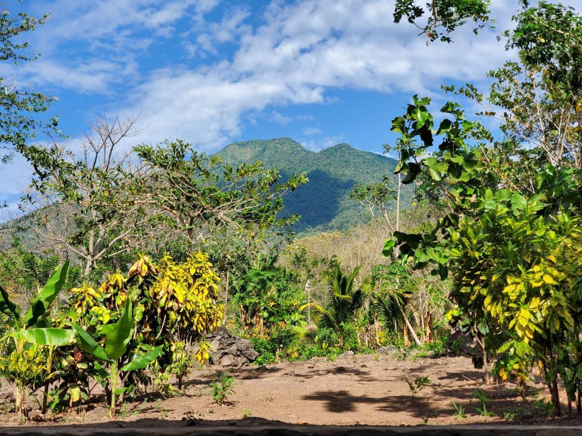 Mérida The Jungleヴィラ エクステリア 写真