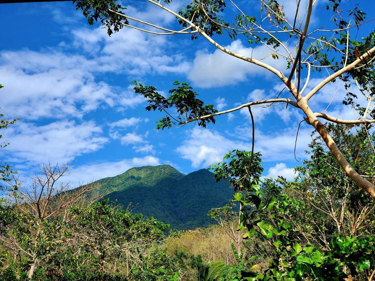 Mérida The Jungleヴィラ エクステリア 写真