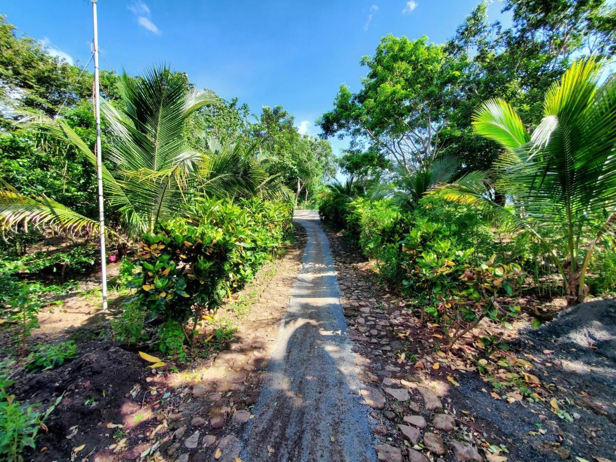 Mérida The Jungleヴィラ エクステリア 写真