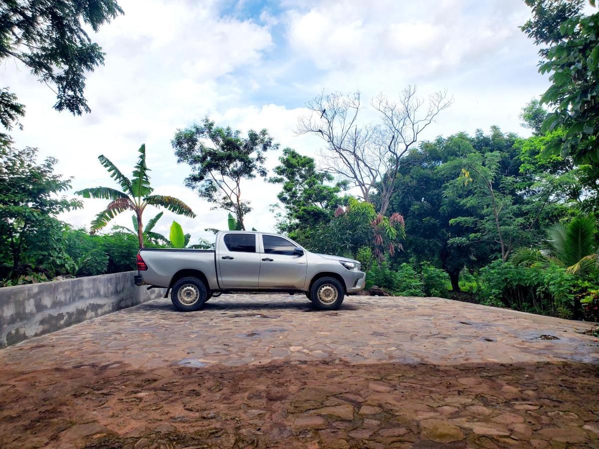 Mérida The Jungleヴィラ エクステリア 写真