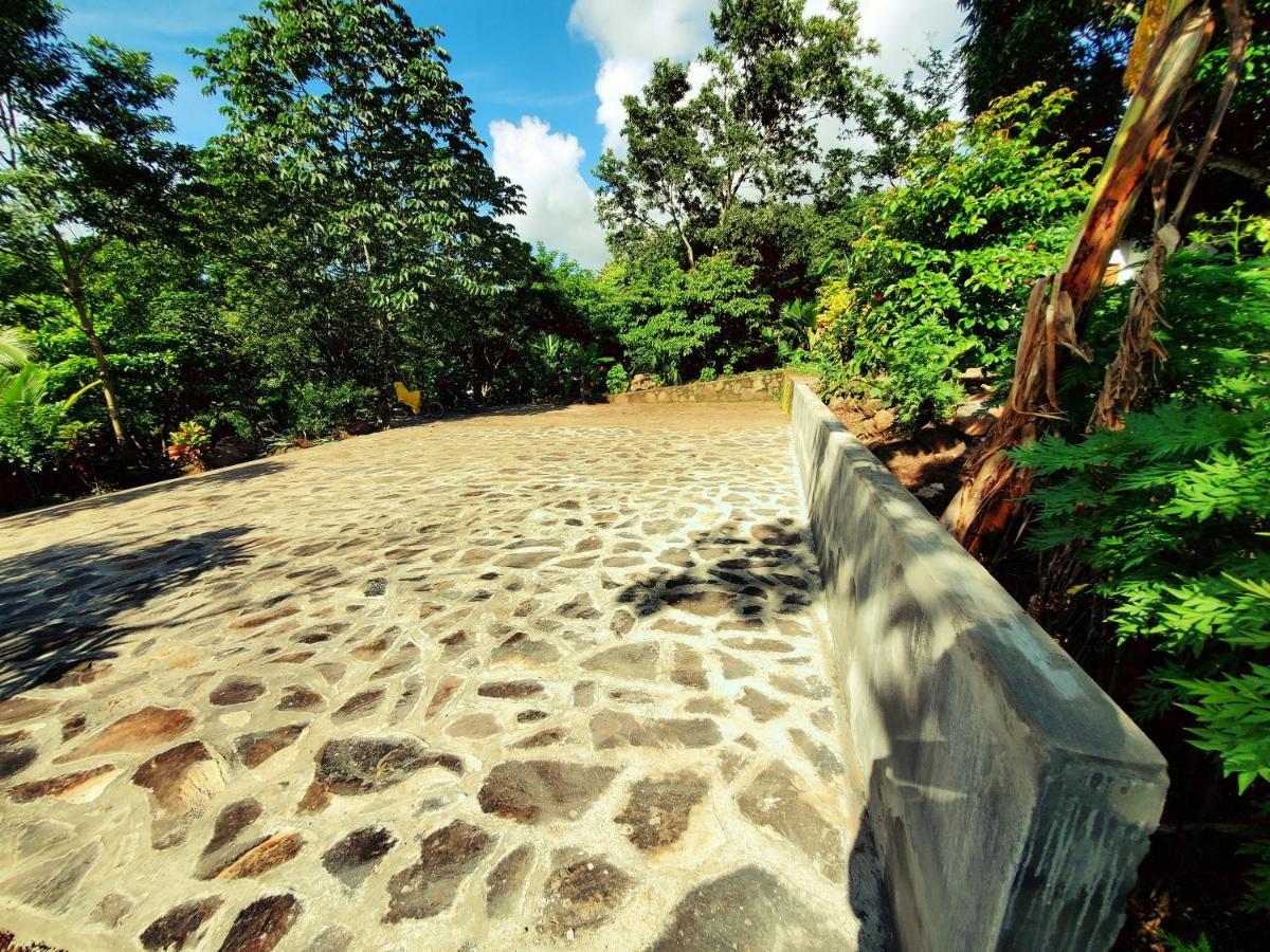 Mérida The Jungleヴィラ エクステリア 写真